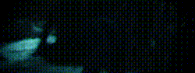 韩国论理电影在线观看_国产惊悚片市场萎缩_网络电影惊悚片兴起